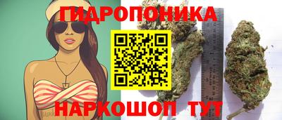 СК Нягань